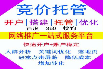 行业领先企业的SEM优化之路