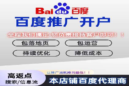 行业领先企业的SEM推广策略揭秘